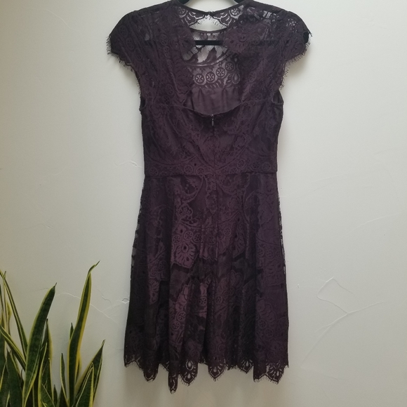 Rhianna Open Back Lace Fit & Flare Cocktail Dress - Picture 5 of 6